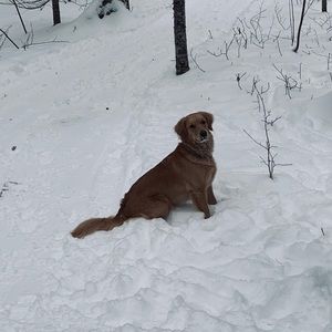 Meet your Posher, Marc-antoine